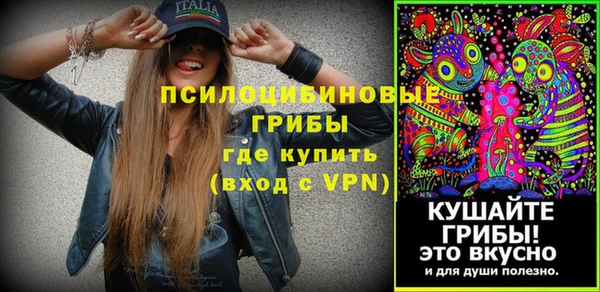 гашик Лагань