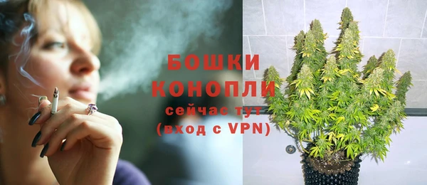 гашик Лагань